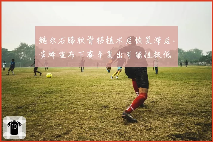 鲍尔右膝软骨移植术后恢复滞后，黄蜂宣布下赛季复出可能性极低